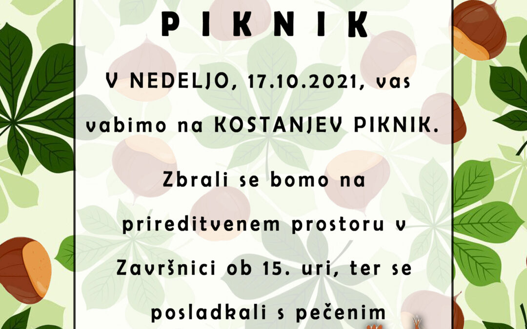 KOSTANJEV PIKNIK